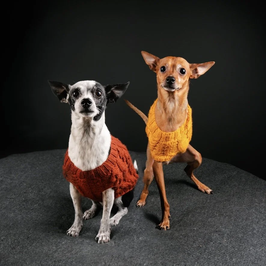 Plan Your Year with GVP Studios: Why January Is the Best Time to Get on the Calendar