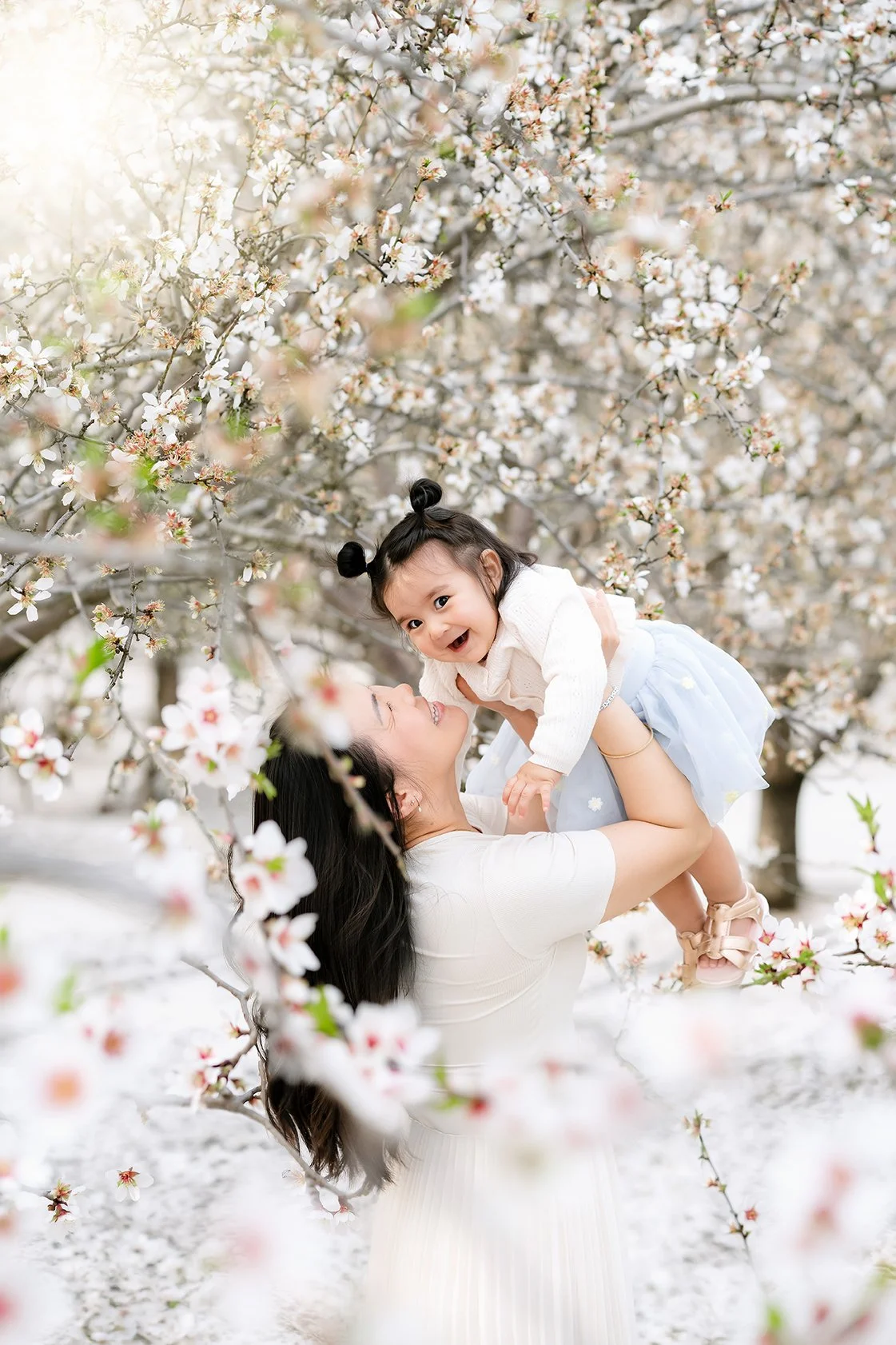 The Art of the New Season: From Studio Sanctuaries to Spring Blooms