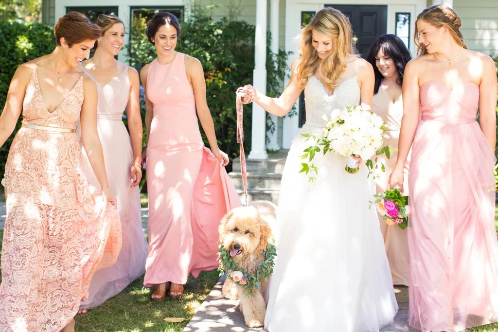 How to Include Your Dog in Your Wedding (and Why It Always Makes for the Best Photos)