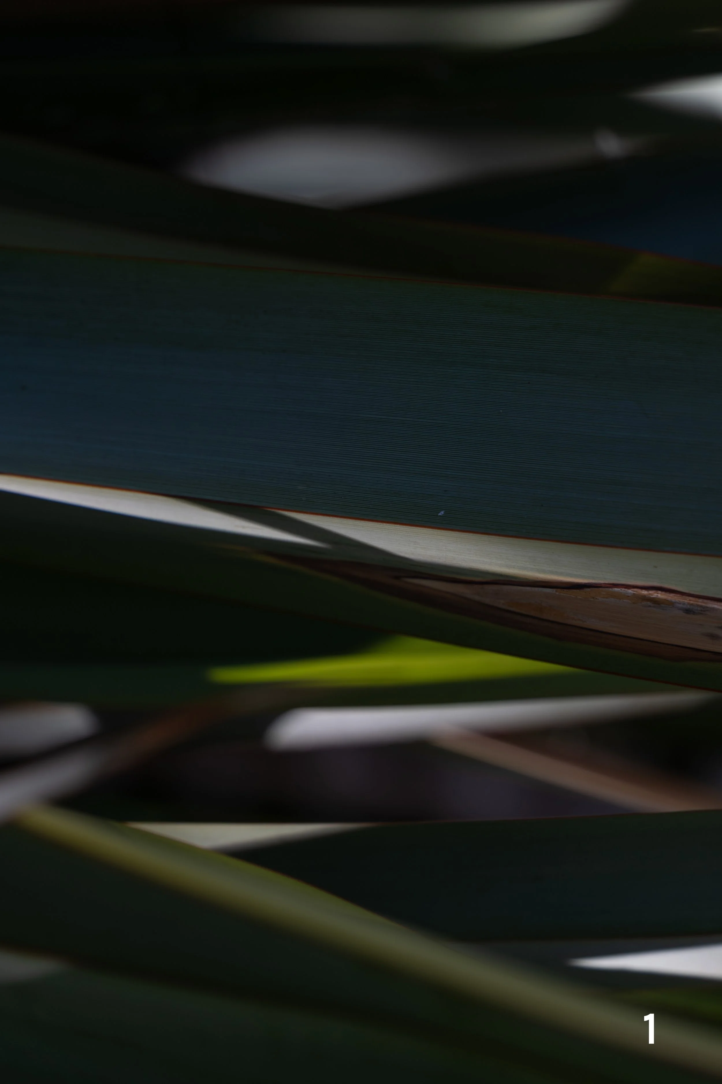 web_Midtown_2025-1.jpg