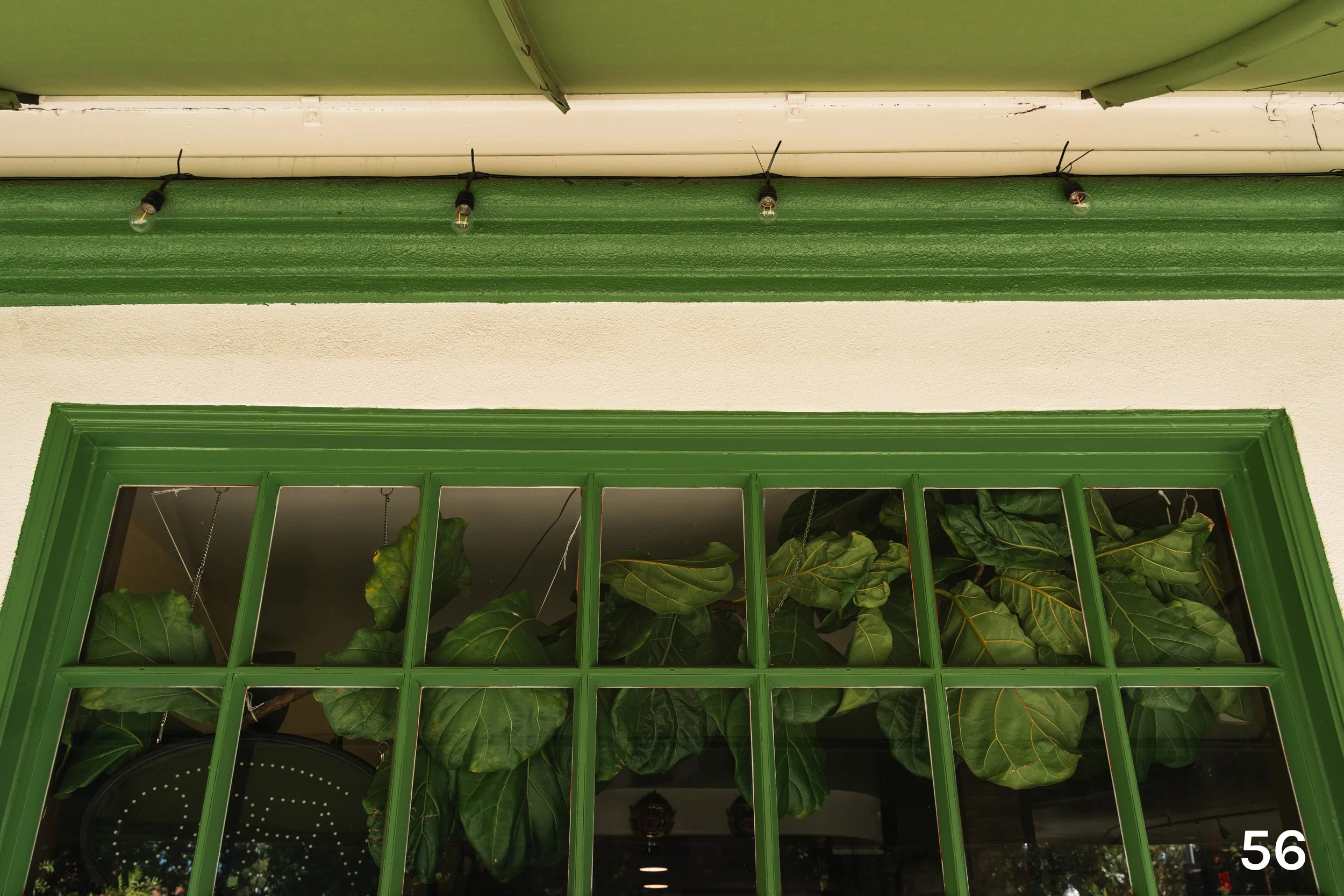 web_Midtown_2025-56.jpg