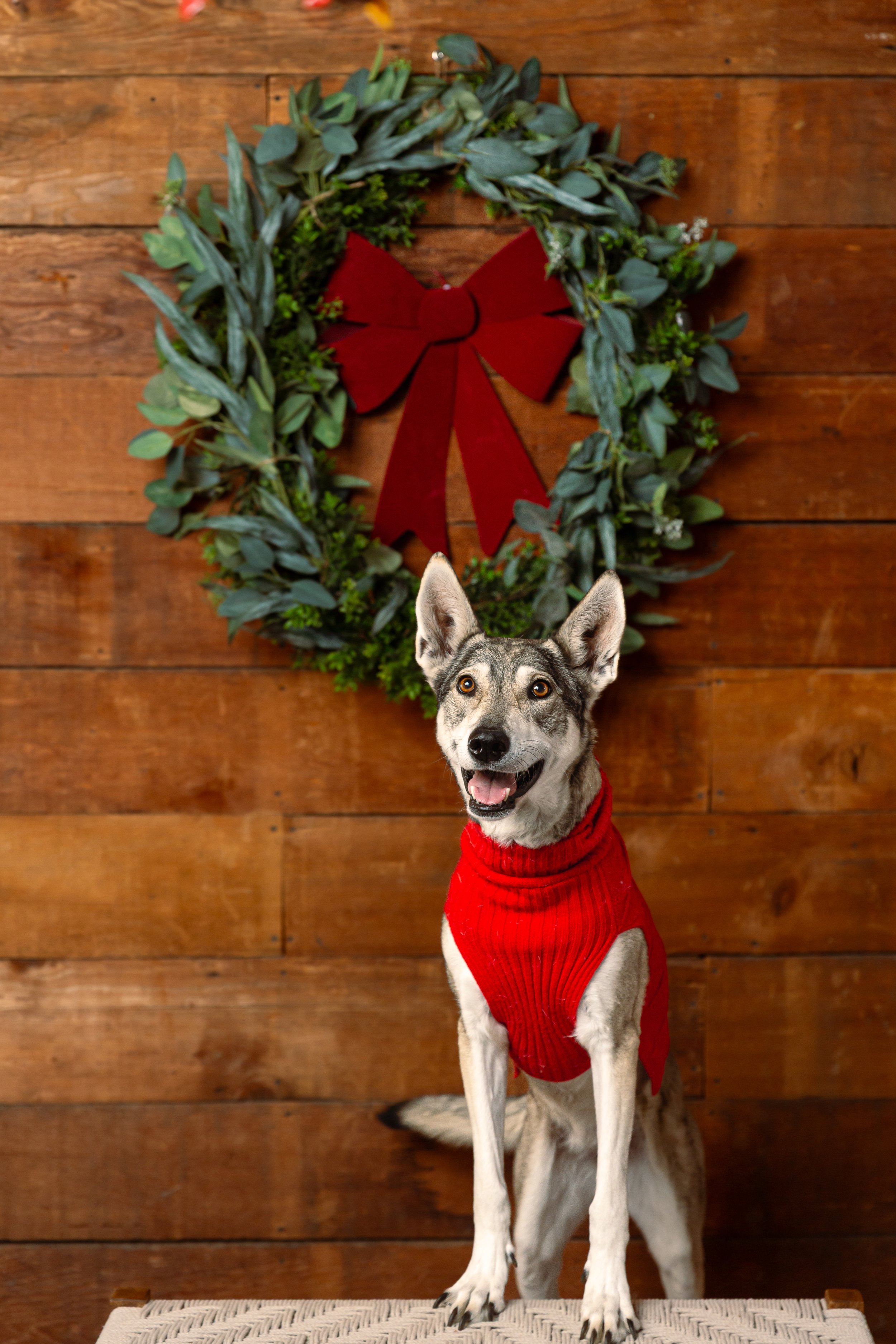 Beasley_0725-11.jpg