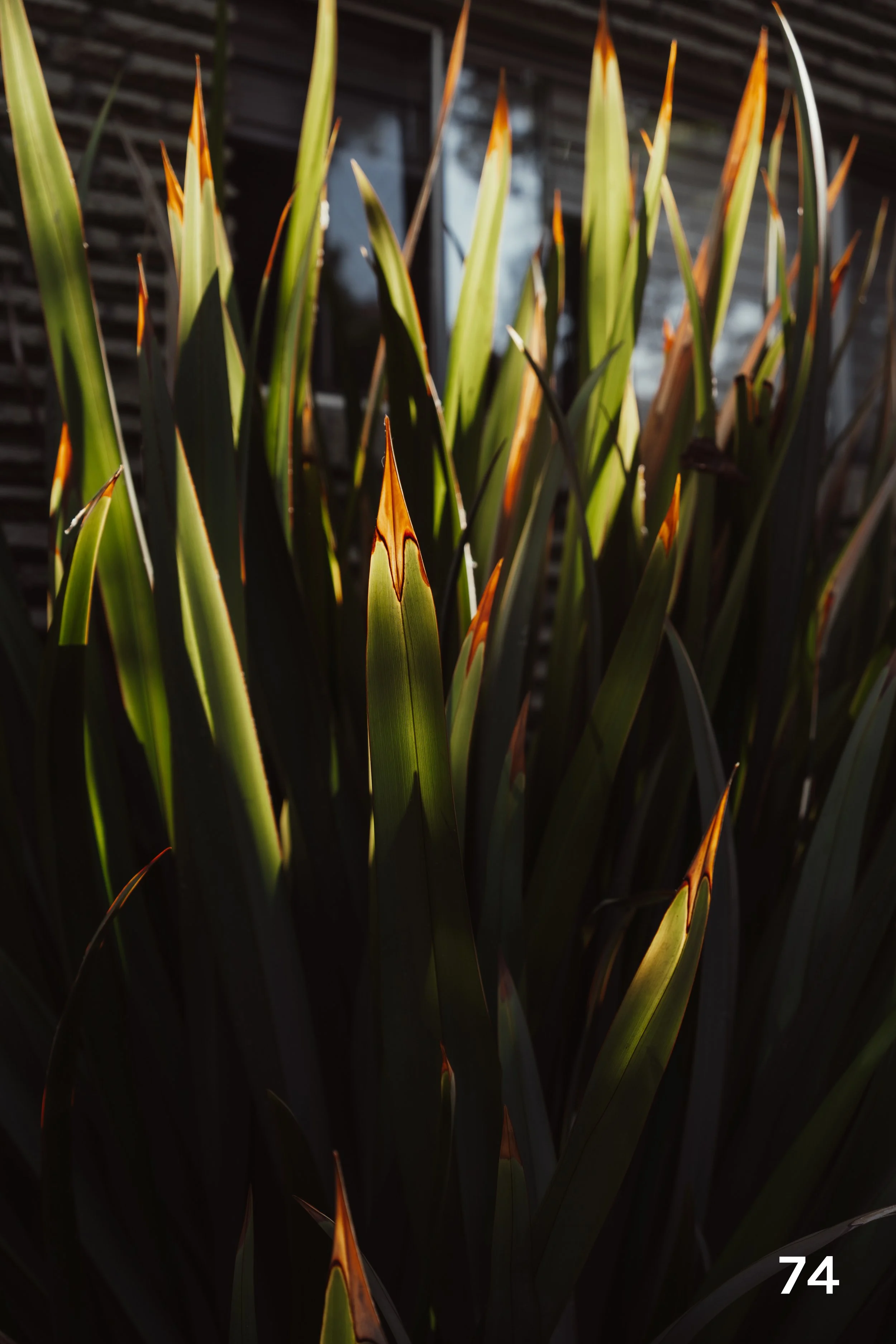 web_Midtown_2025-74.jpg