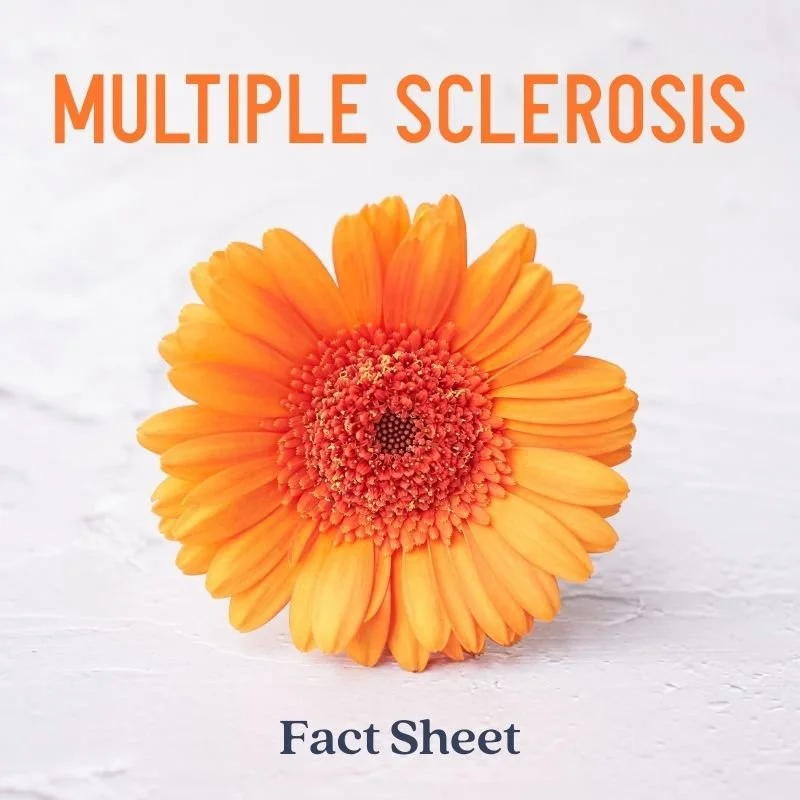 Multiple Sclerosis Fact Sheet