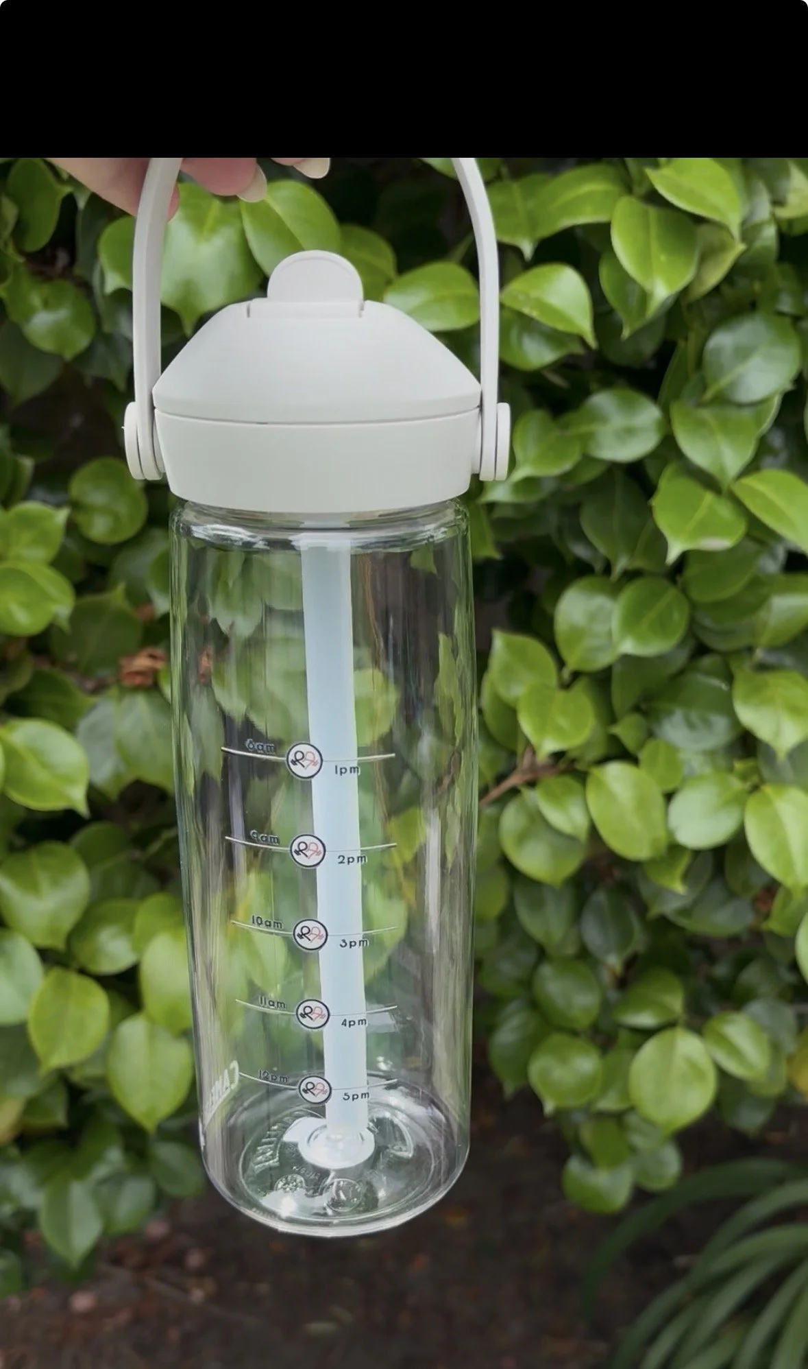 Motivational Water Bottle