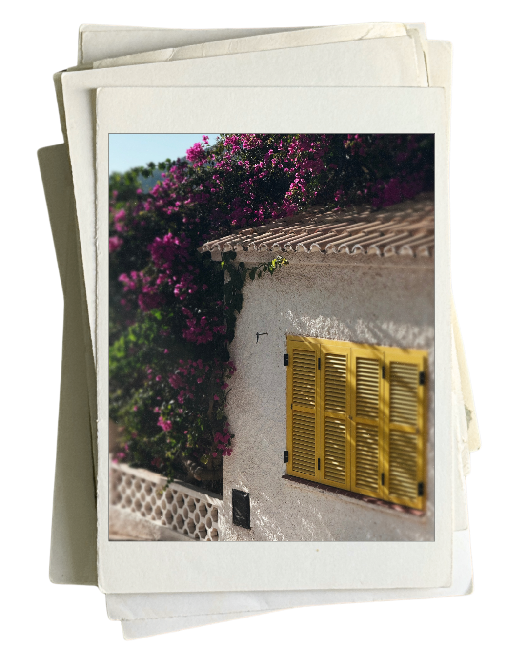A white stucco house with yellow shutters, pink bougainvillea vines, and a terracotta tiled roof.