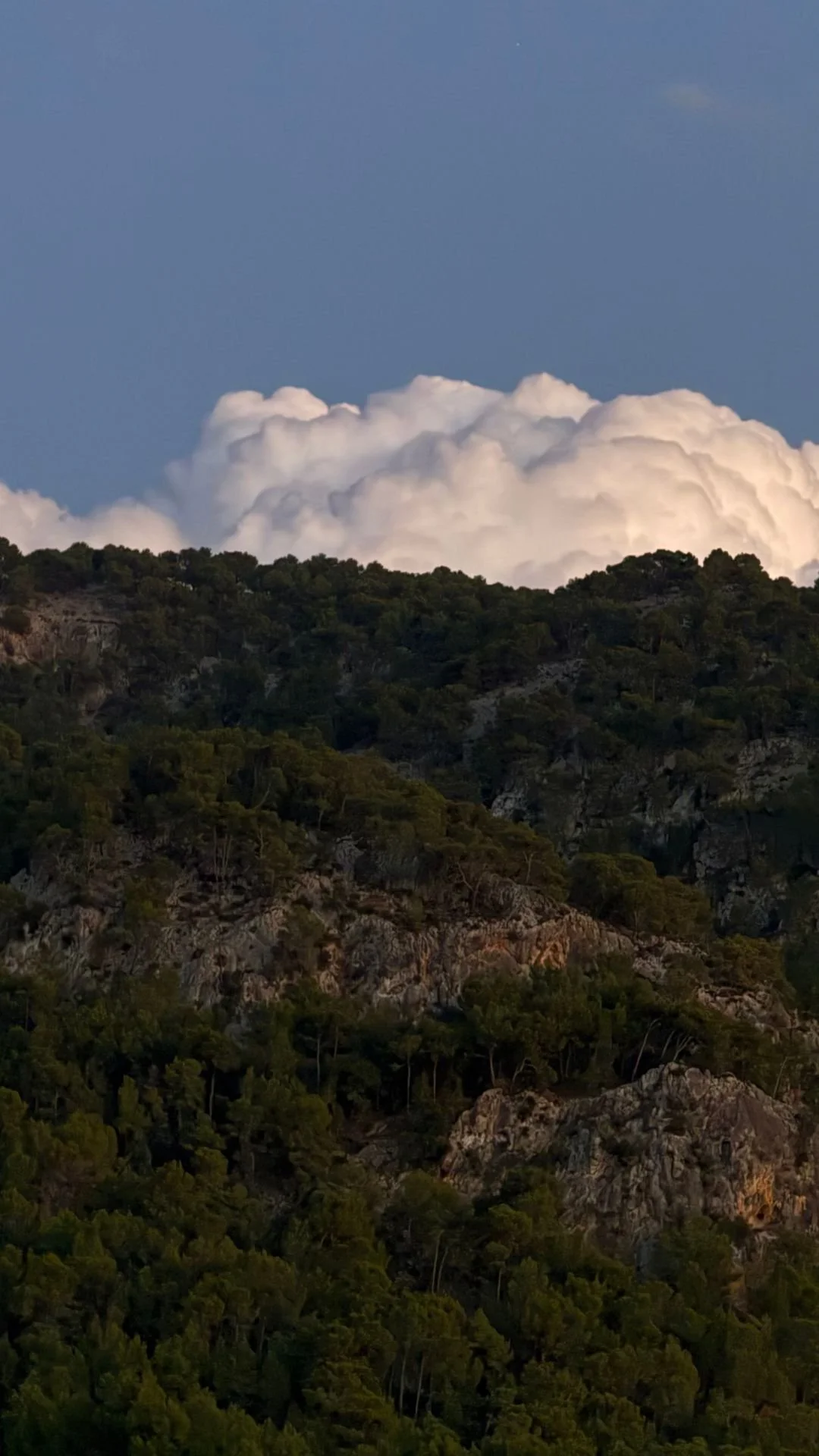 Photo of a mountainous landscape with trees and rocks in the foreground and large white clouds in a blue sky overhead.