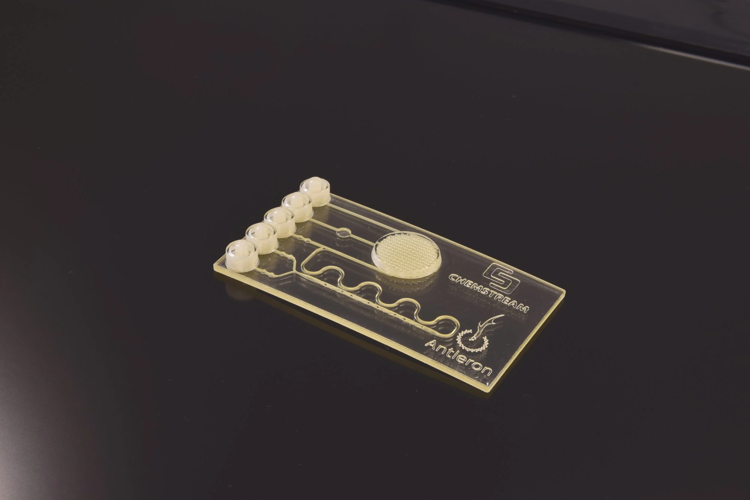 microfluidics1chem.JPG