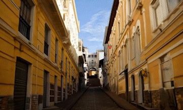 Colibrí - 2 - 6sec.gif