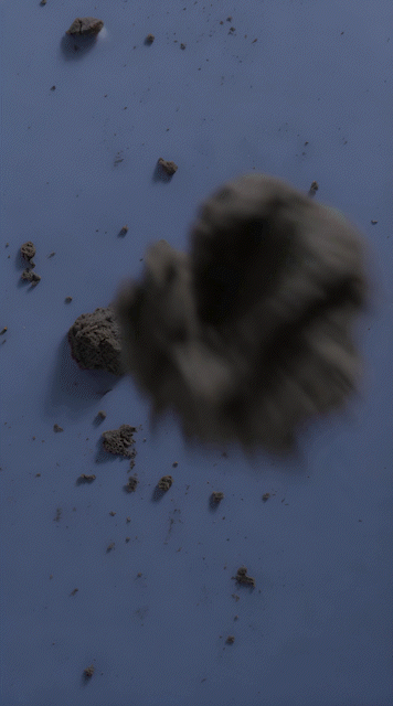 Todo nos inspira - moodboard -1.gif