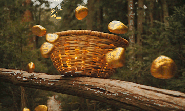 Canasto de oro - 6.gif