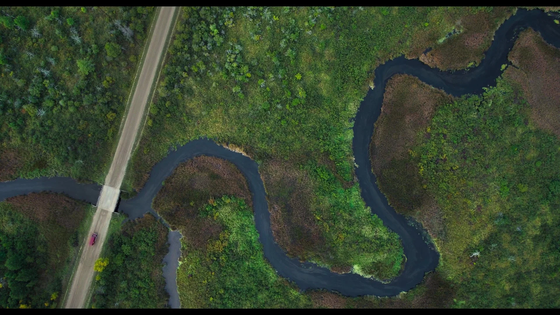 Portfolio stills_Paulie Go_00.jpeg