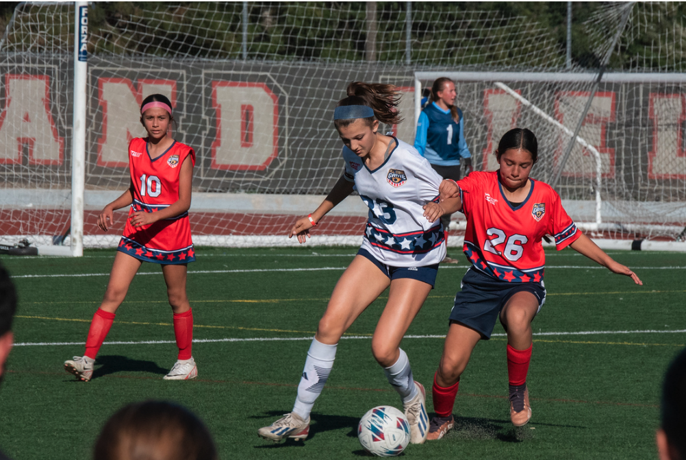 Screenshot 2023-12-19 at 8.06.28 AM.png