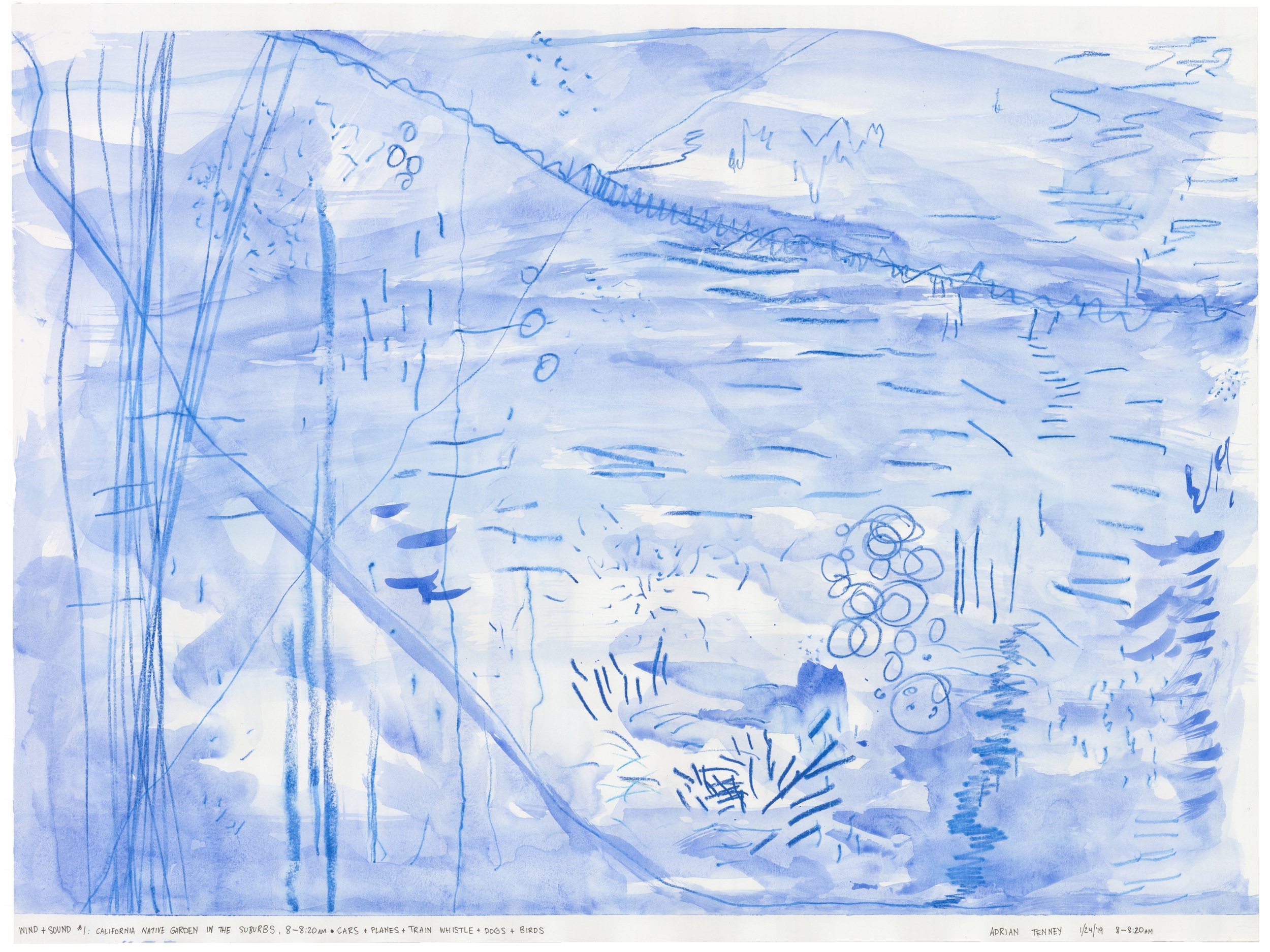 Field Observations. Watercolor and watercolor pencil on paper. 2019