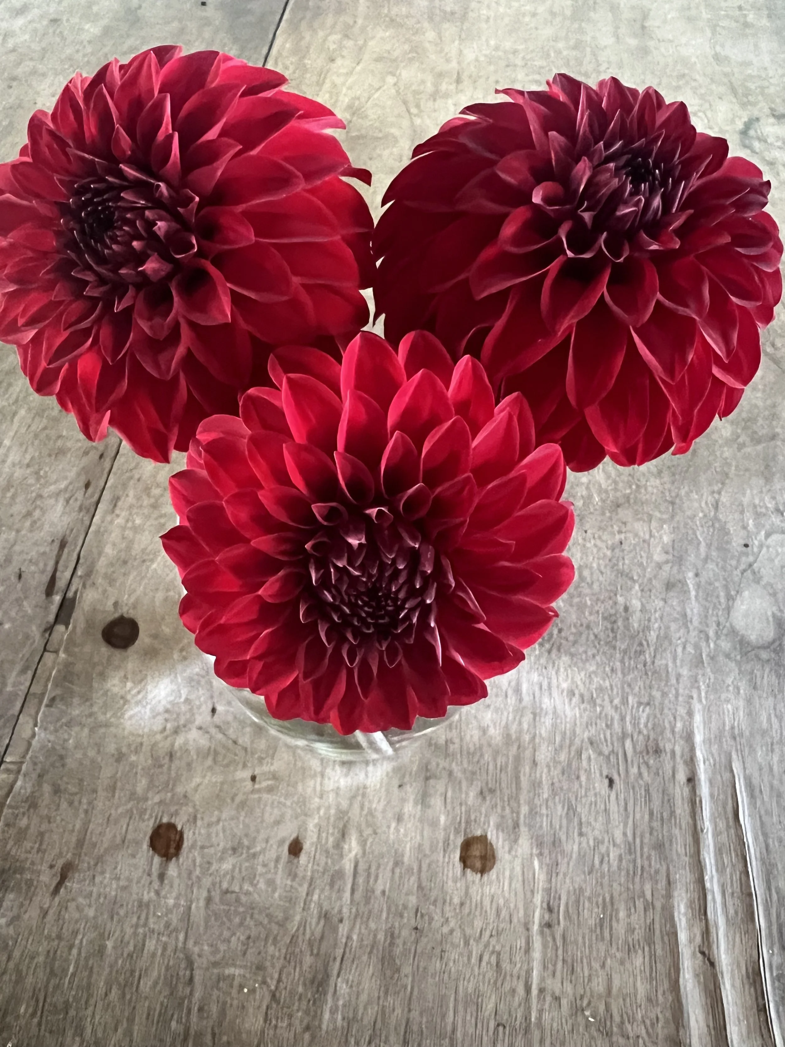 River's Cherry Bomb BB FD R