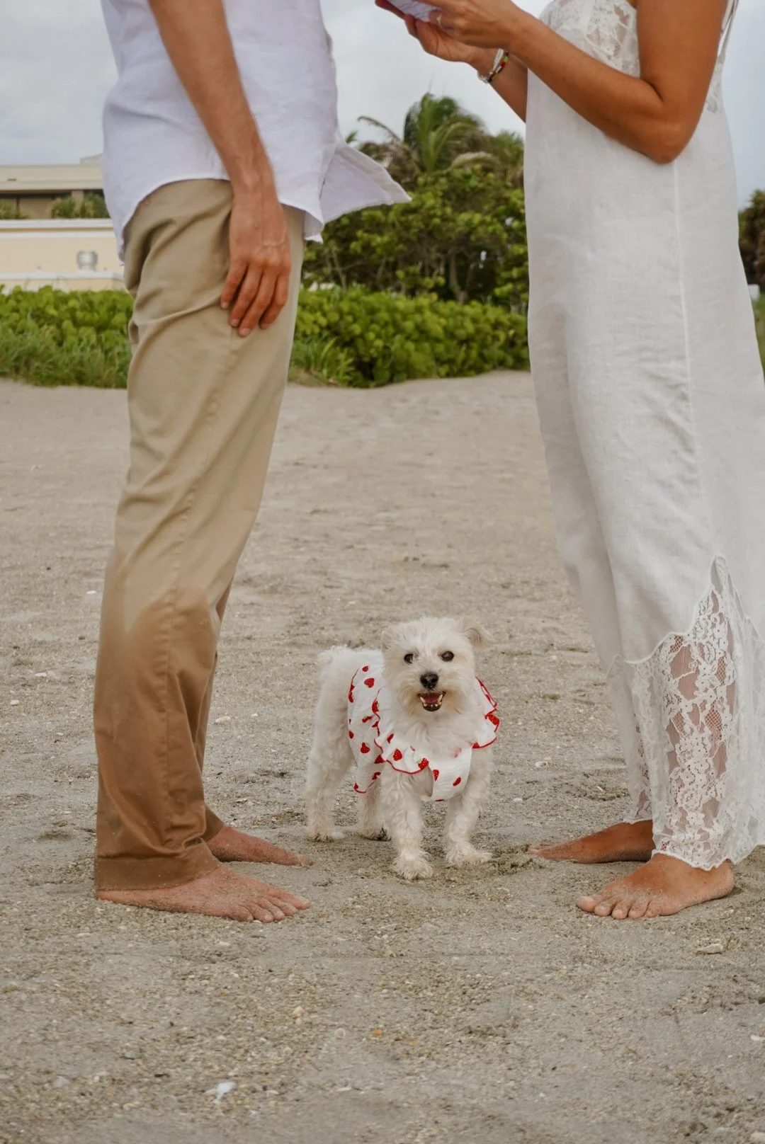 A  barefoot elopement in Palm Beach with their small white dog wearing a heart-patterned dress between them. The groom is wearing beige pants and a white shirt, the bride is in a white lace dress, and the dog is smiling.