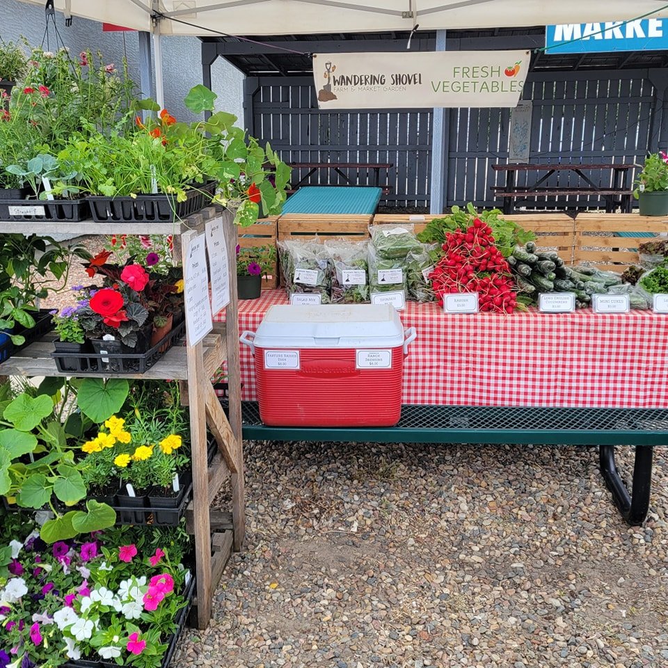 Spiritwood Farmer's Market today, 8 - 12:30. 

Fresh salad greens, radishes, and cucumbers!