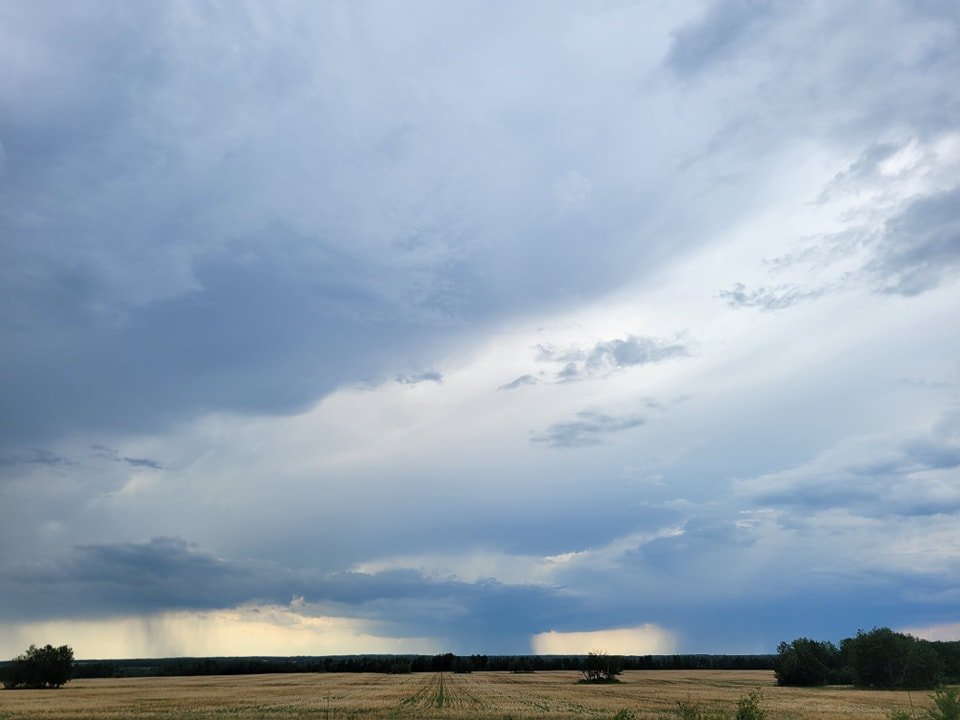 Just had a nice little shower here! Looks like there might be more coming.