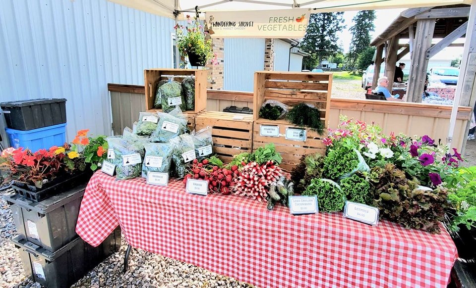 Lots of lettuce this week, and the spinach is awesome! Also cukes, radishes, dill, and cilantro. We're at Leoville today from 8 - 12:30, and at Spiritwood Farmer's Market tomorrow from 8 - 12.