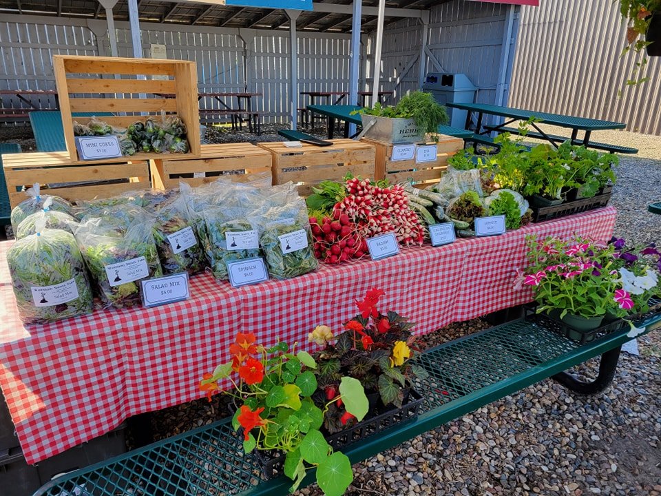 It's a beautiful morning here at Spiritwood Farmer's Market! 

Lots of lettuce, salad mix, spinach and radishes. And dill, cilantro, cucumbers, and plants. 

We're here from 8 - 12, come before it's gone!
