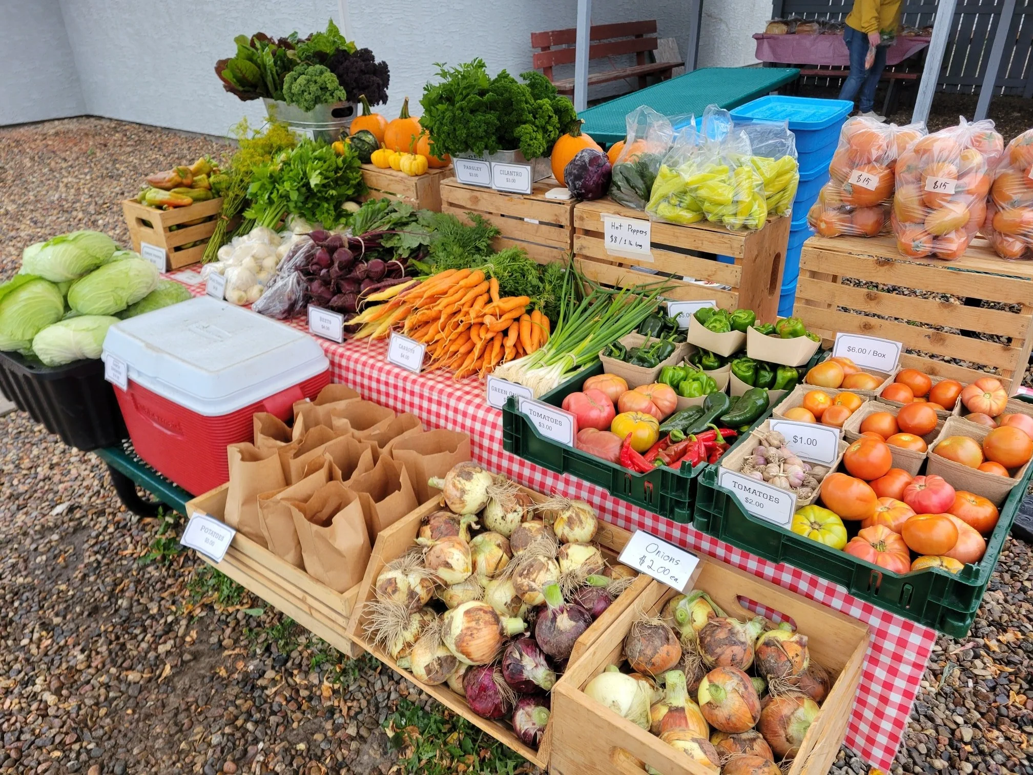 Rain or shine, we're here at Spiritwood Farmer's Market!

Cabbage, peppers, Roma tomatoes, onions, pumpkins, and more.