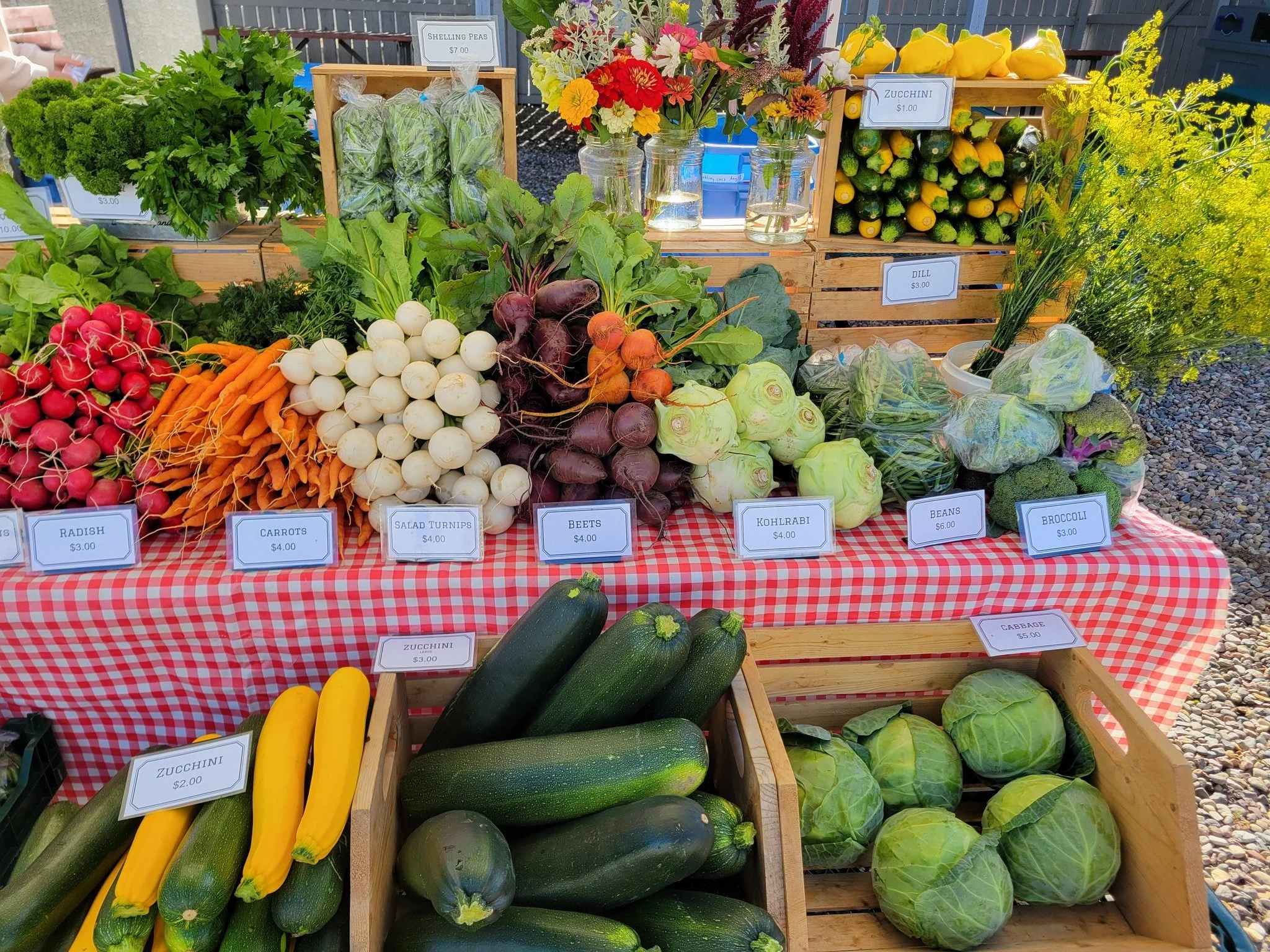 A Better Alternative to CSA shares

Love the idea of local food, but not weekly preset boxes?

Our Farm Membership gives you flexible access to fresh, Saskatchewan-grown food all season long.

✔ Order what you want
✔ Skip weeks when you&rsquo;re busy