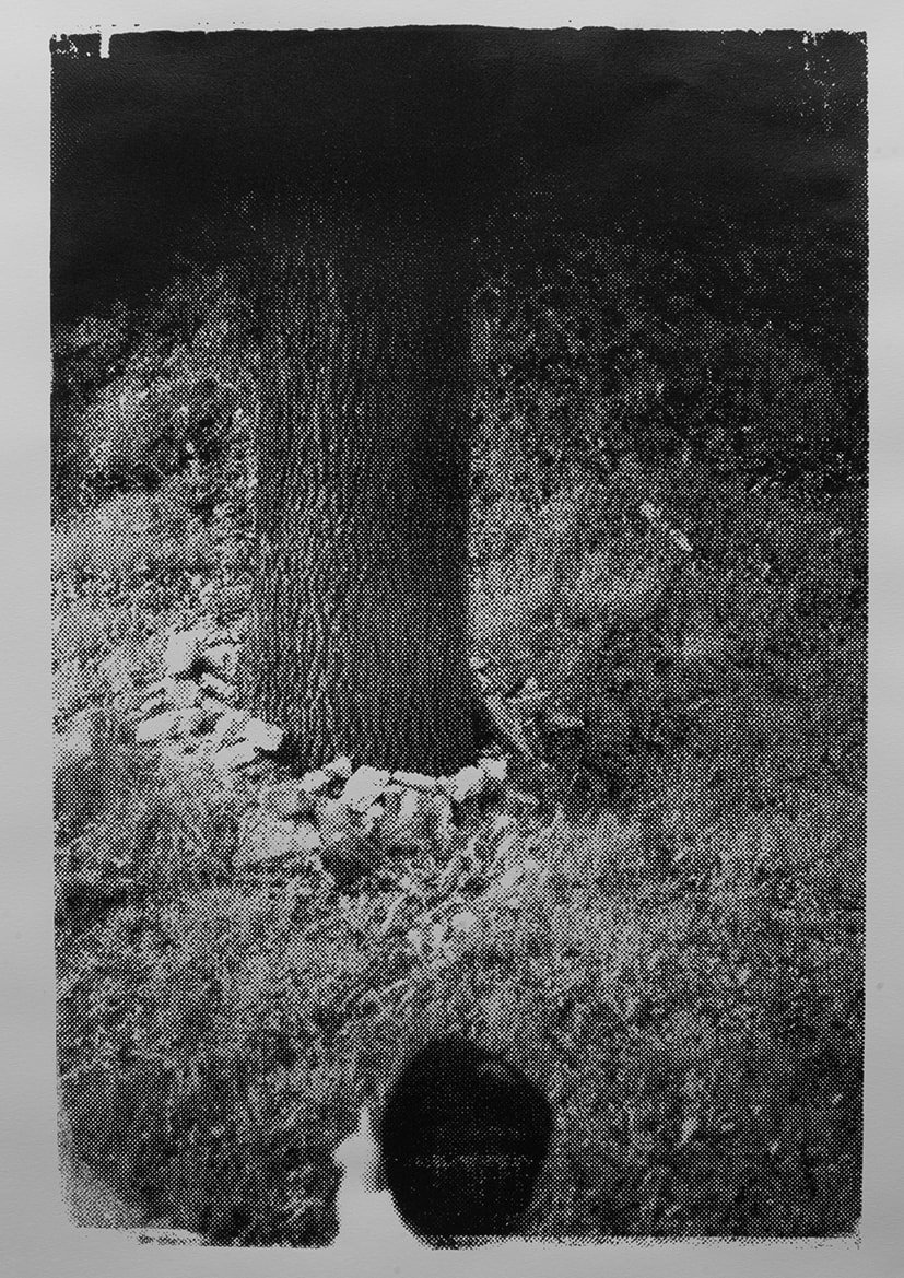 tree-1-orig_orig.jpeg