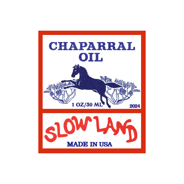 chapfront.png