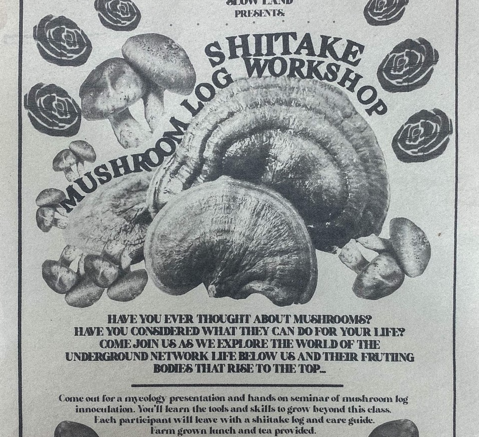 Screen Shot 2025-01-30 at 6.41.50 PM.png