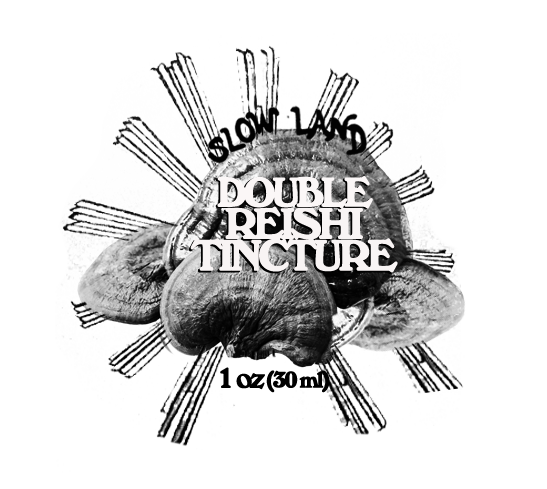 Reishi Double Extract Tincture (I oz)