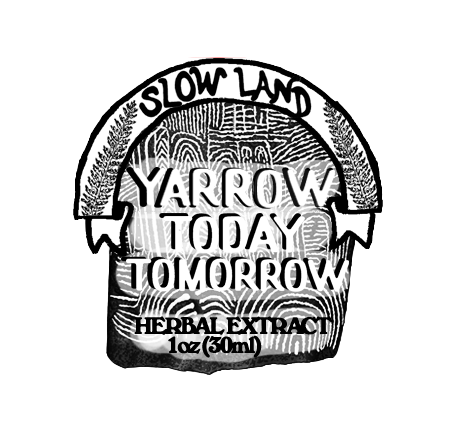 yarrow1.png