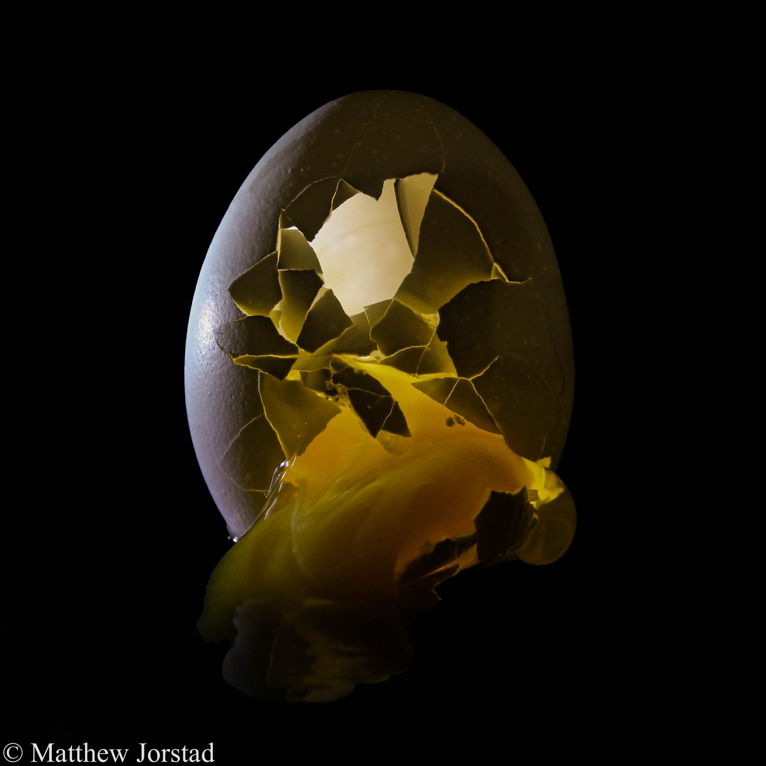 egg.jpg