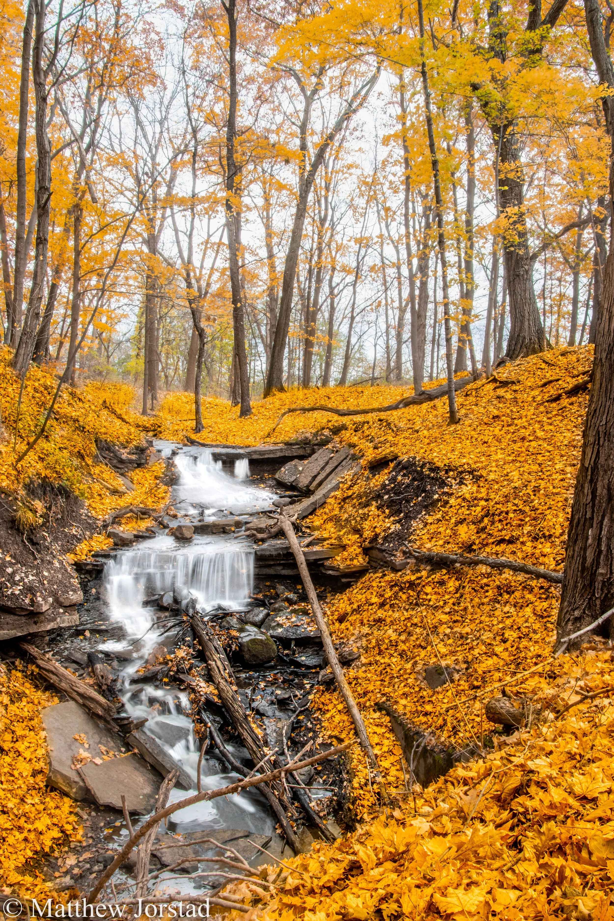 IMG_5700-HDR copy 2.jpg