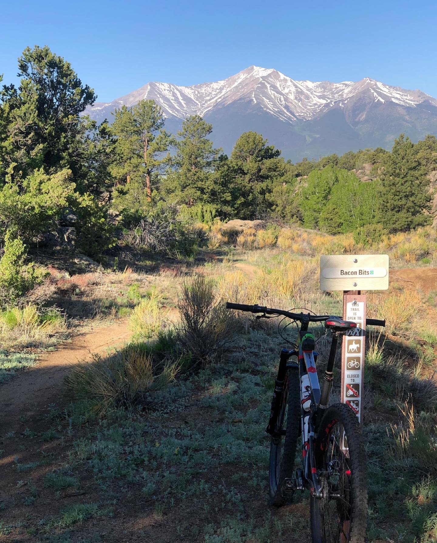 Who&rsquo;s ready to get back on the saddle?!

Our friends at Buena Vista Single Track Coalition have reported that trails are ready to go! That includes Bacon Bits, pictured here! Book a stay and hop on the Midland Trail system directly from our pro