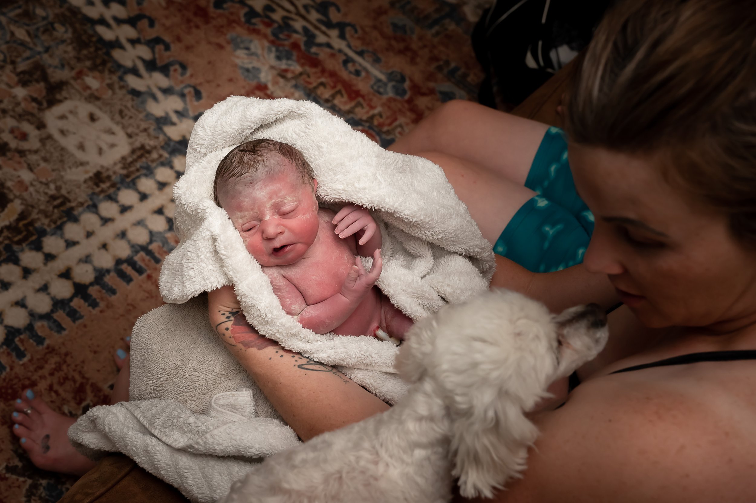 The Birth of Mina Julie Francom Birth Photography-83.jpg