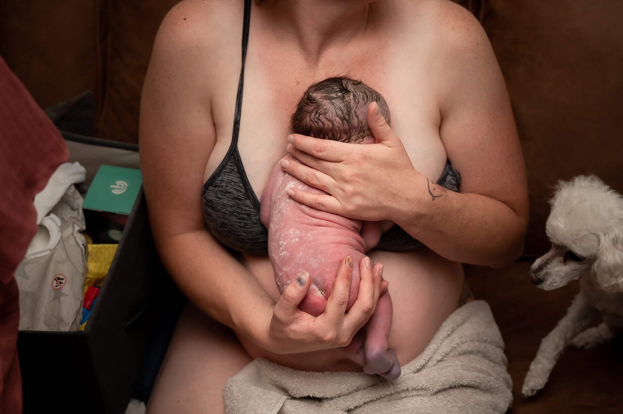 The Birth of Mina Julie Francom Birth Photography-137.jpg