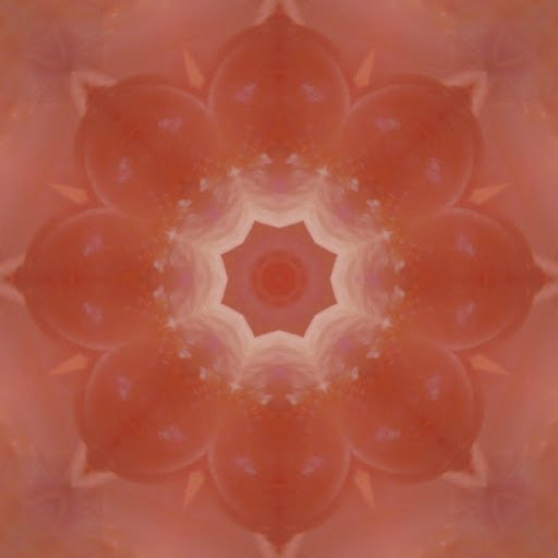 Carnelian Lotus