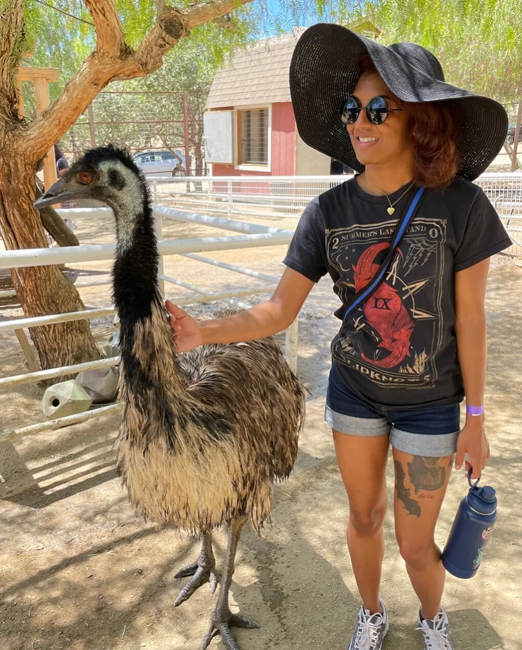 Thinking about this emu named Earl. 
.
I&rsquo;ll be at @threeclubs tonight with @kaylaj9 and at @theroguelike tomorrow with @8bitbabesburlesque for our CULT CLASSICS show! Earl will not be there. I wish he could be. :/ 
.
.
.
.
.
.
#gentlefarms #far