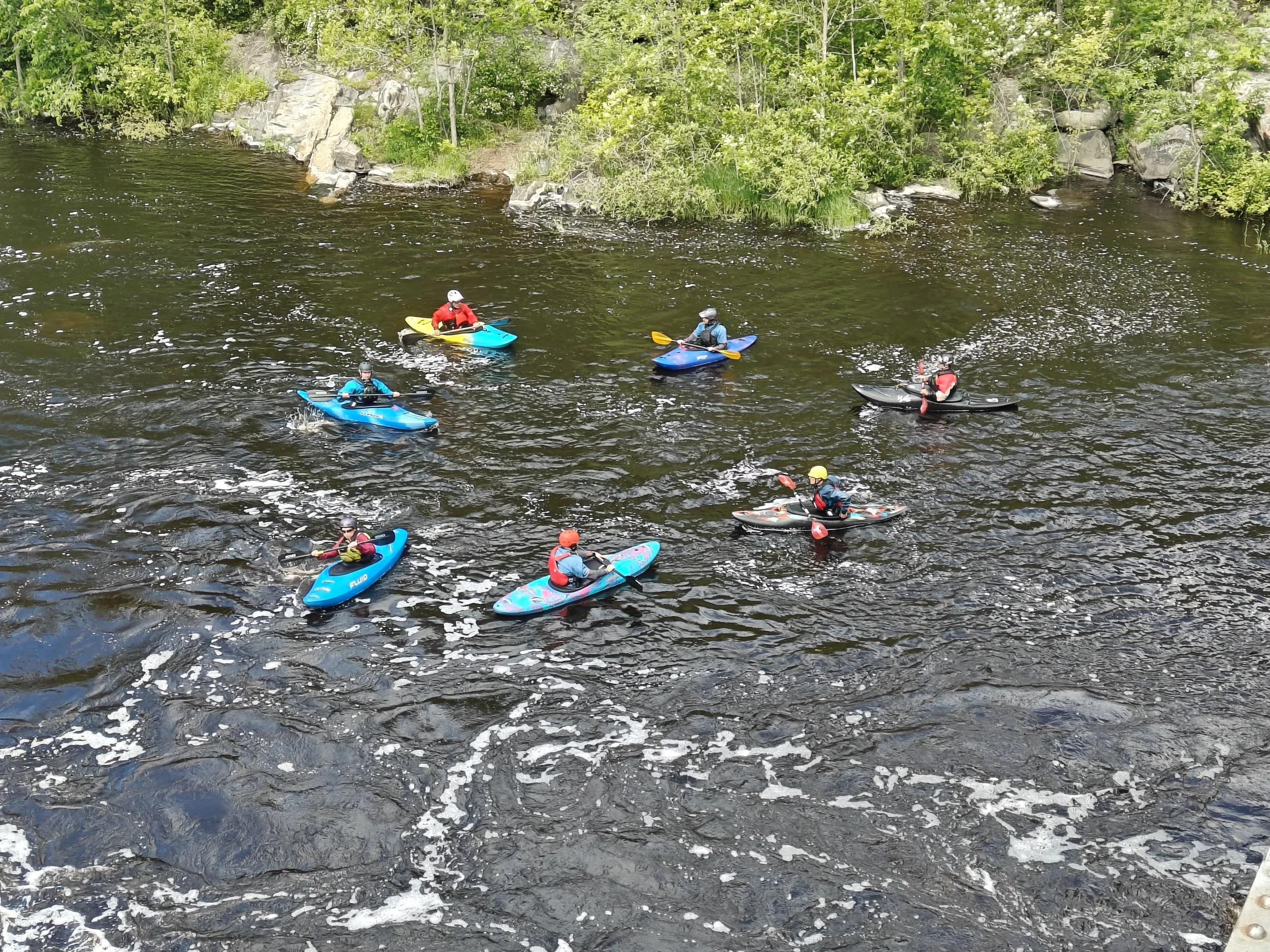 IMG20240609110713.jpg