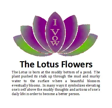 The+Lotus+Flowers.webp