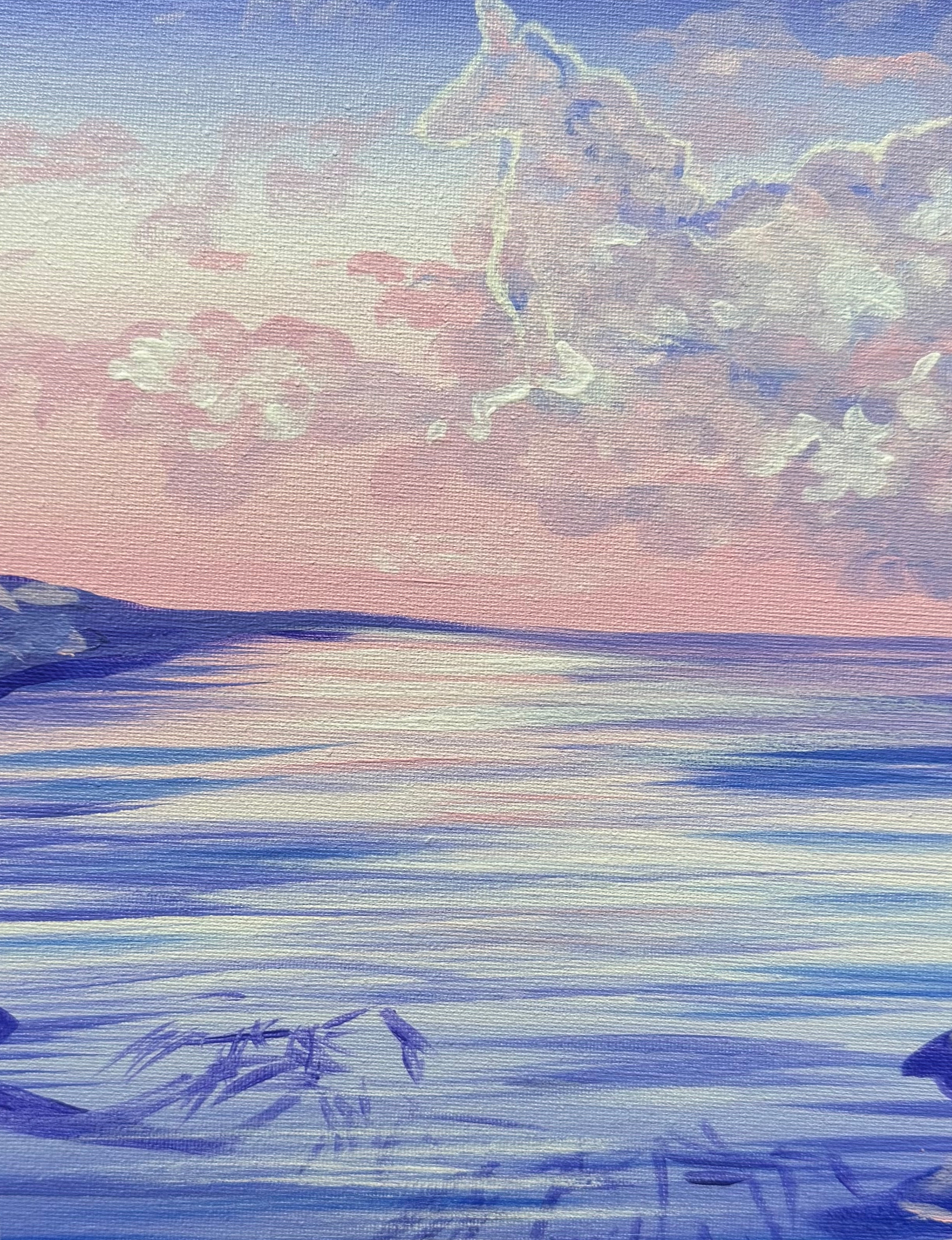 pink pony cove. acrylic on canvas. 2025.