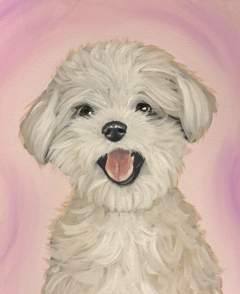 little white dog. acrylic on canvas. 16x20. 2026.