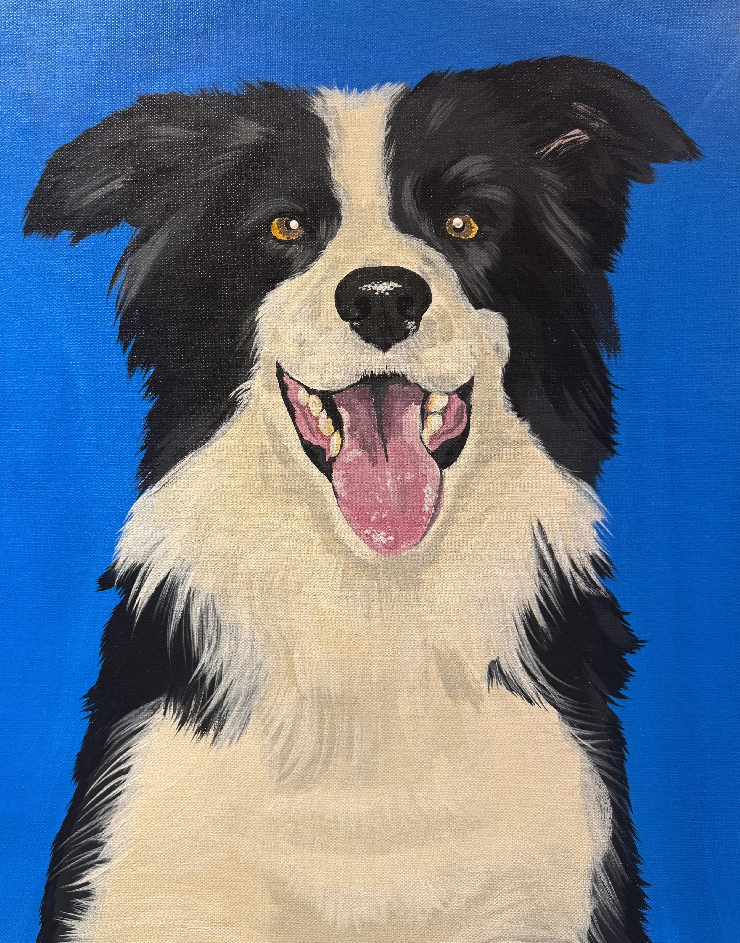 pet portraits