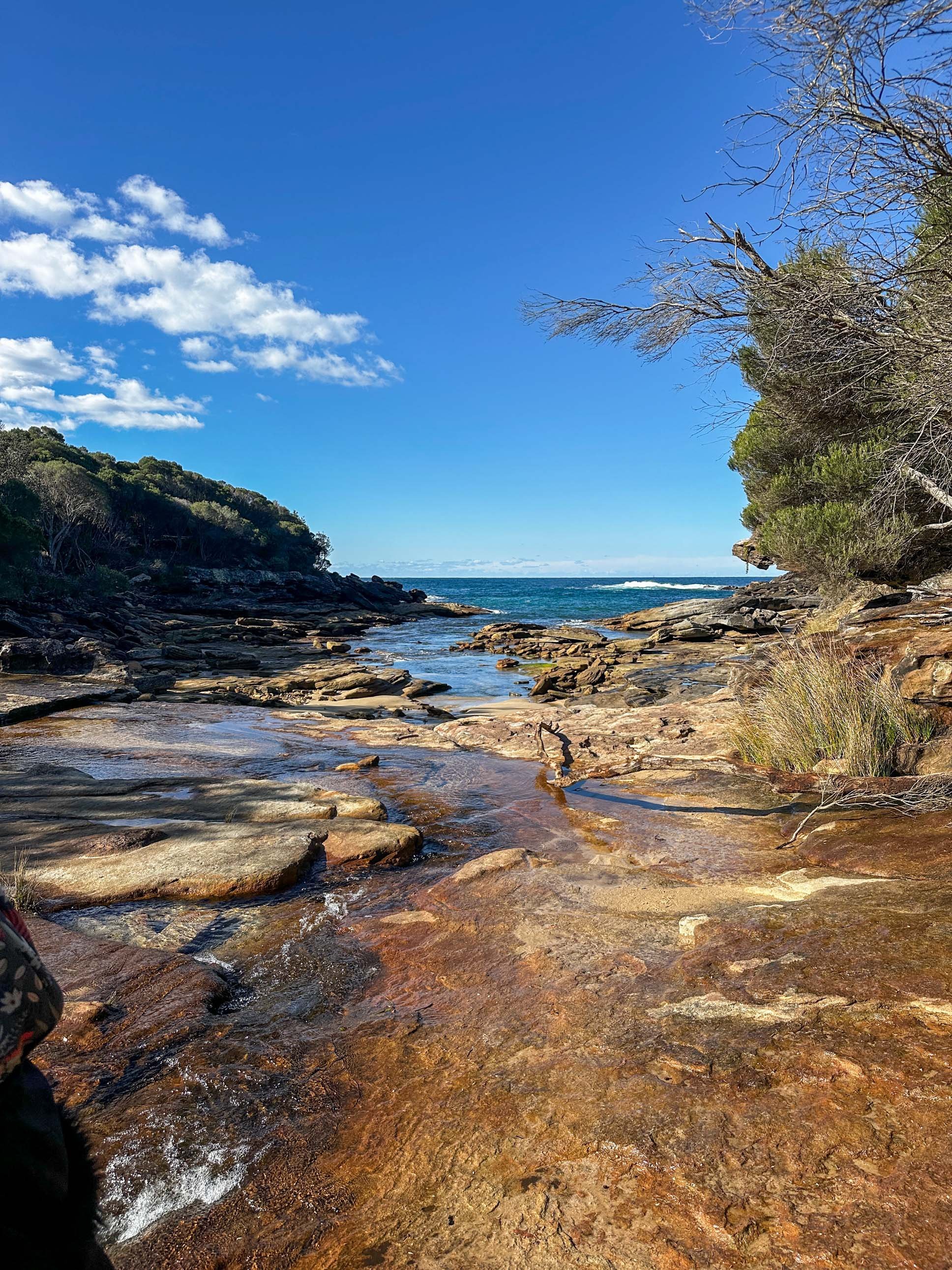 Wattamolla to Eagle Rock RNP-76.jpg