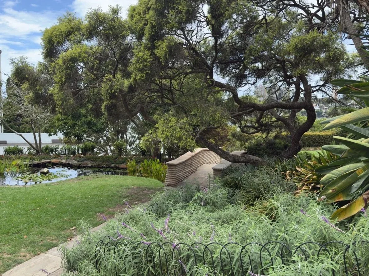 Arthur McElhone Reserve