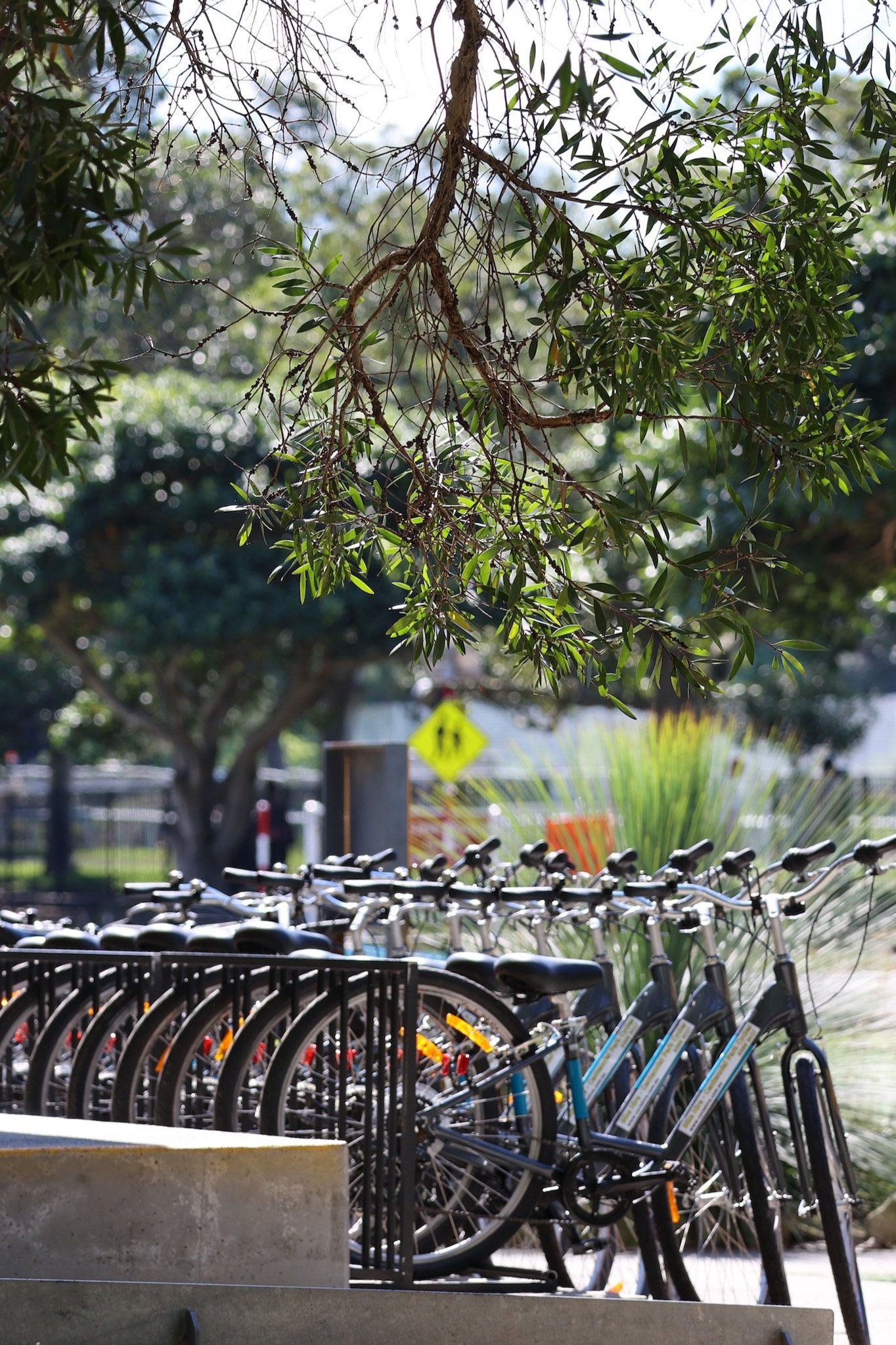 Bicycles Centennial Park