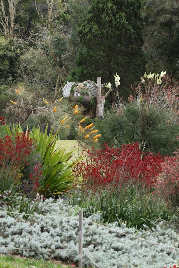 Native+plants+Australian+Botanic+Gardens+Mount+Annan.jpg