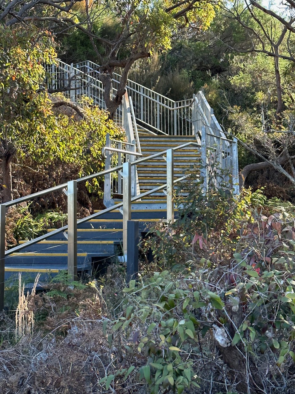 Stairway to West Escarpment Track