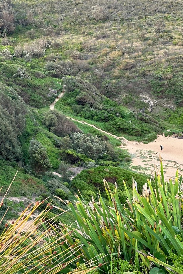 Steps to Turimetta Beach.jpeg
