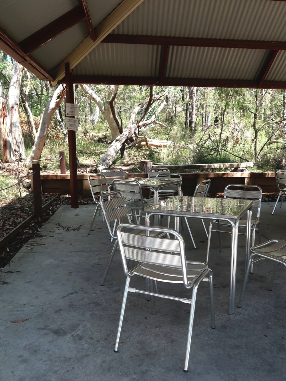 Picnic Shelter at Dampier's Clearing